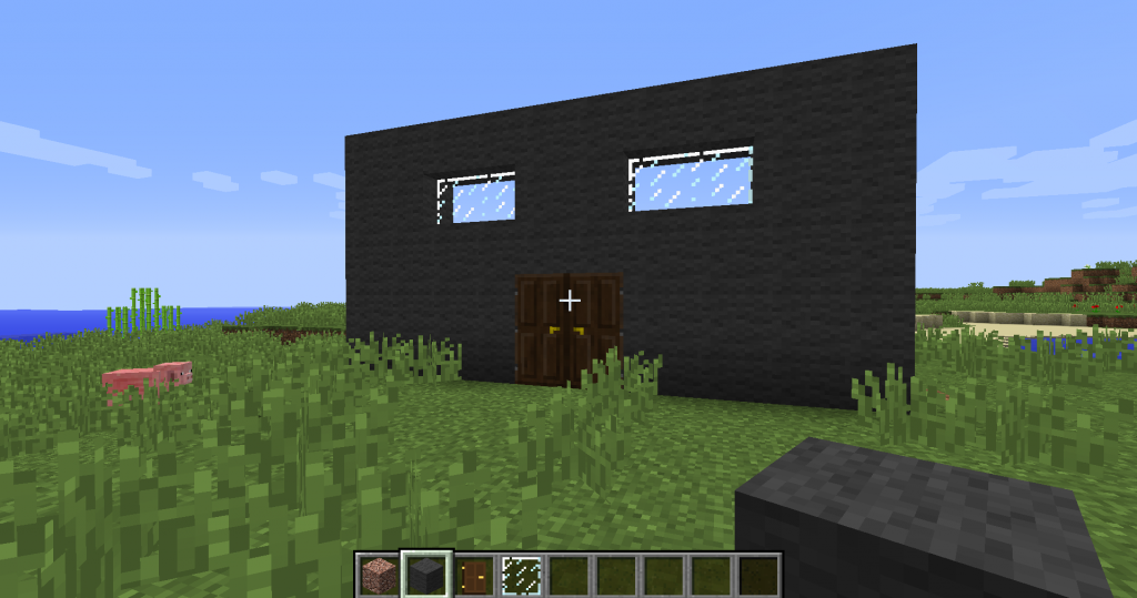 minecraft ev yapımı