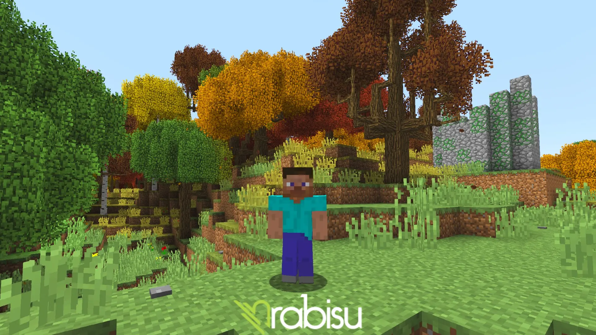 Java Olmadan Forge Açabilir miyim?